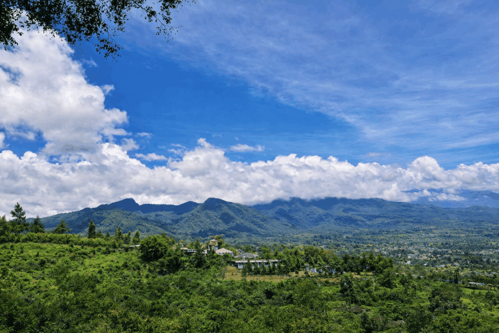 7 Pilihan Transportasi ke Puncak Bogor yang Praktis dan Hemat
