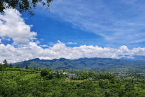 7 Pilihan Transportasi ke Puncak Bogor yang Praktis dan Hemat